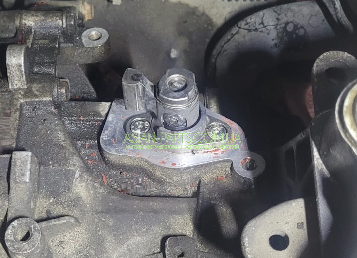 55250056 FIAT dualogic