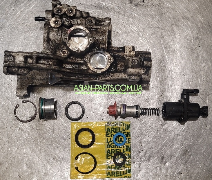 309300676R манжети 309300676R манжеты