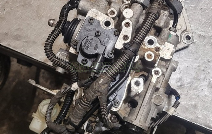 71719387 71752638 Fiat