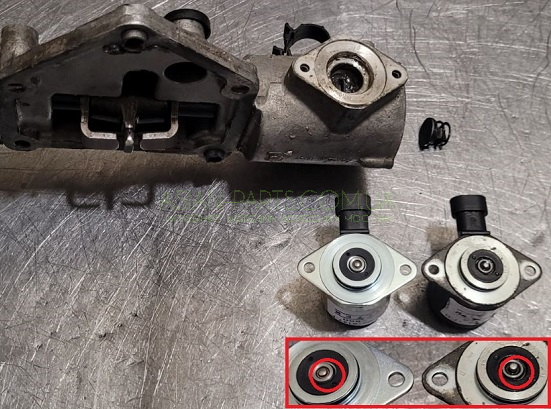 71732919 023000004010 71732919 023000004010