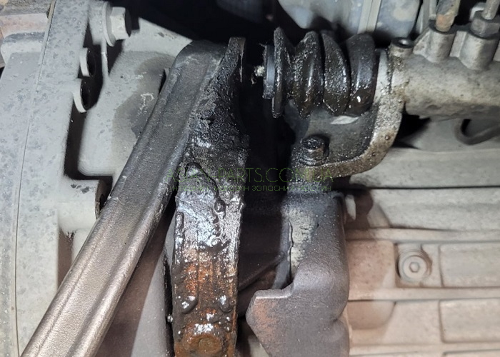 Пильовик 10064790 Лапка штока 10064800 Пильовик 10064790 Лапка штока 10064800